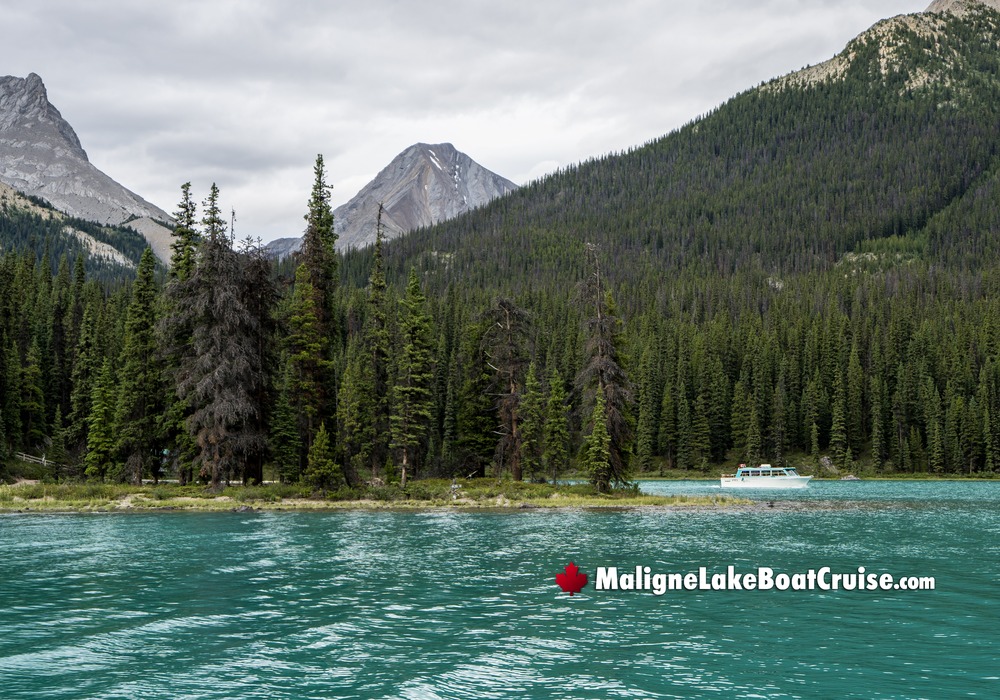 Maligne Lake Boat Cruise
