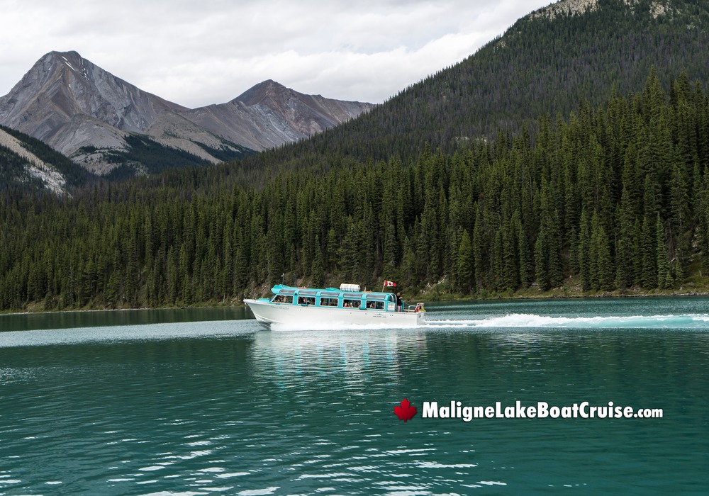 Maligne Lake Boat Cruise