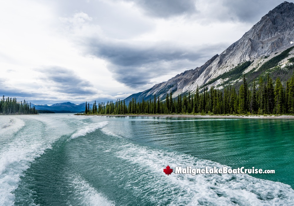 Maligne Lake Boat Cruise