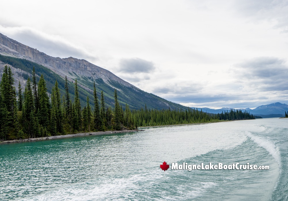 Maligne Lake Cruise by Mountains and Forest