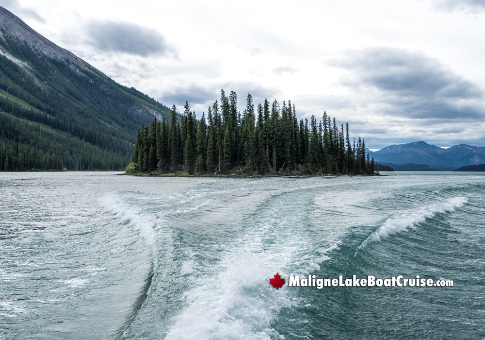 Forested Island Behind Boat Wake