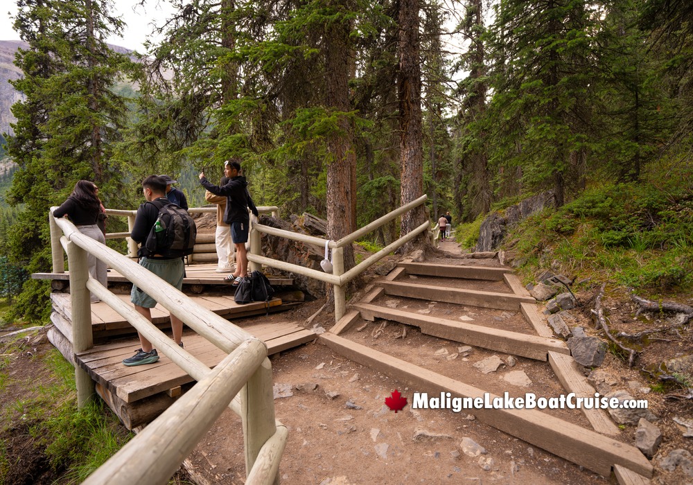 Visitors Along Spirit Island Pathway