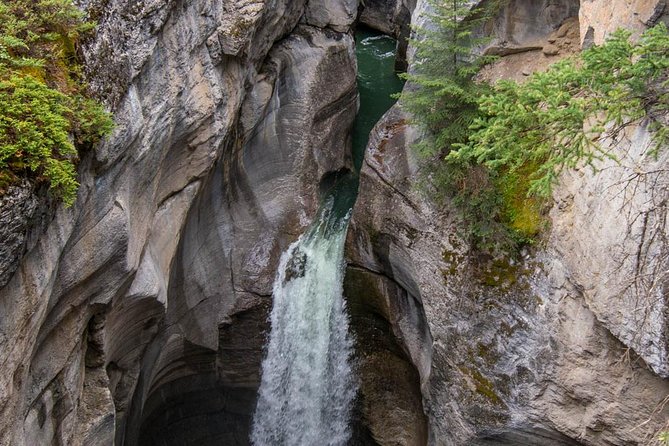 Book Jasper 5.5 Hour Maligne Boat Cruise & Maligne Valley Tour