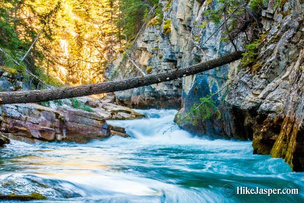 Jasper National Park Maligne River